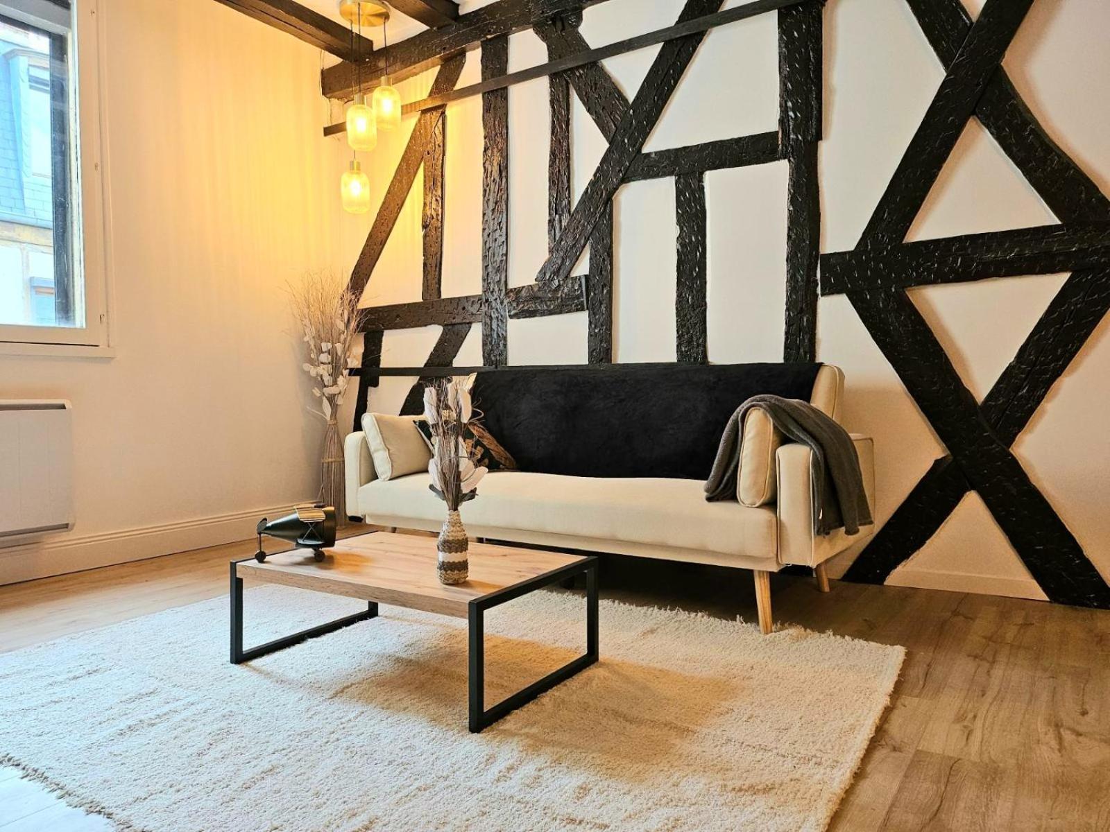 La Dame Blanche - Appartement Hypercentre Historique 부르주 외부 사진