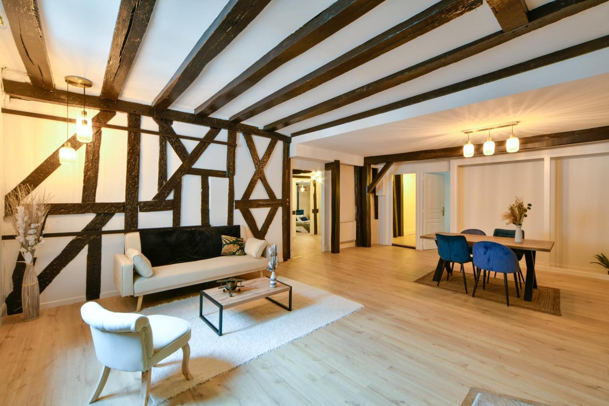 La Dame Blanche - Appartement Hypercentre Historique 부르주 외부 사진
